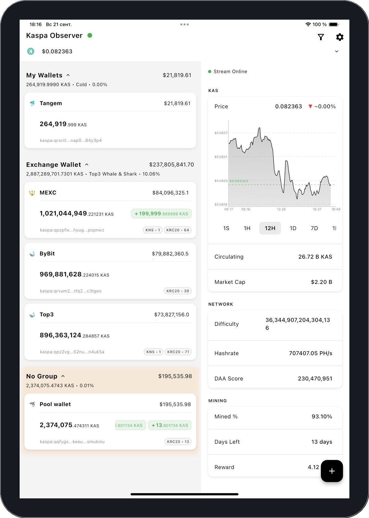 Kaspa Observer on iPad